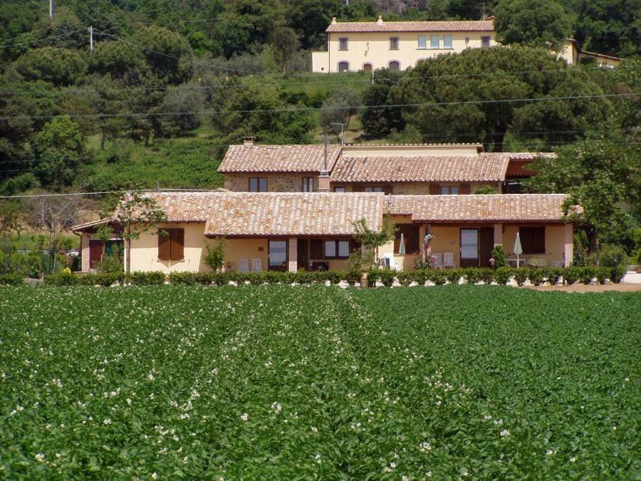 Agriturismo Casale Del Contadino Больсена Экстерьер фото
