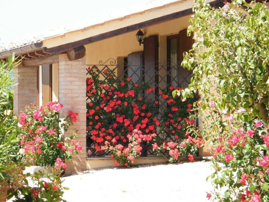 Agriturismo Casale Del Contadino Больсена Экстерьер фото