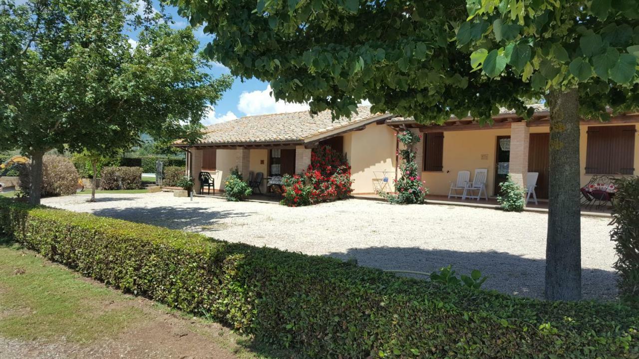Agriturismo Casale Del Contadino Больсена Экстерьер фото